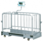 Livestock Weighing Scales
