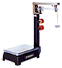 Conventional Platform Scale